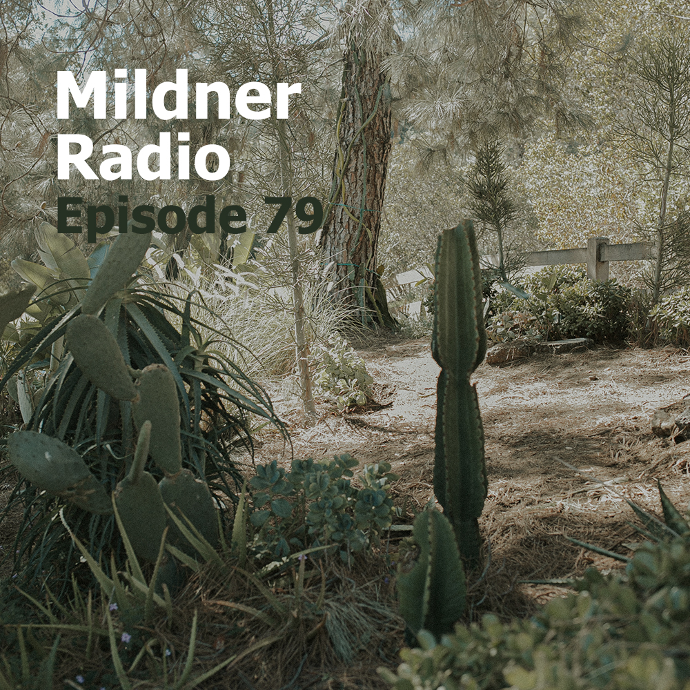 Mildner Radio Episode 79